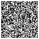 QR code with Cool Laser Optics Inc contacts