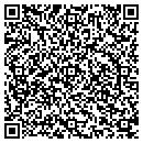 QR code with Chesapeake Custom Glass contacts