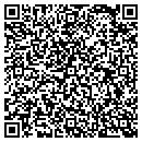 QR code with Cyclones Tavern Inn contacts