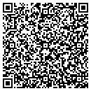 QR code with Carlin & Kienitz Pa contacts