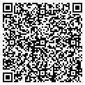 QR code with Bfli contacts