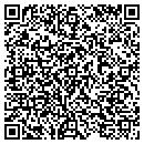 QR code with Public Affairs Group contacts