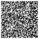 QR code with Consumers Energy Co contacts