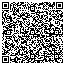 QR code with Ptm Electronics Inc contacts