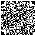 QR code with Shirts contacts