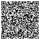 QR code with Collins Post Office contacts