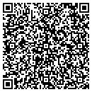 QR code with Blue Dolphin Resort contacts