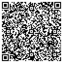 QR code with Pro Body Shop Supply contacts