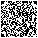 QR code with Castleton Inc contacts