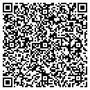 QR code with Print Shop The contacts