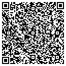 QR code with Cayenne Communication contacts