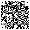 QR code with Bison Books contacts
