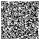 QR code with Borisow Properties contacts