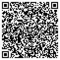 QR code with Foe 38 contacts