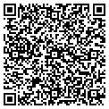 QR code with Saloon contacts