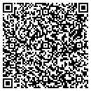 QR code with Premier Telecom contacts
