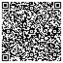 QR code with Carters Custom Clubs contacts