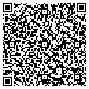 QR code with Producing A Show Inc contacts