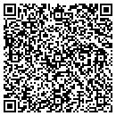 QR code with Noyes Fiber Systems contacts