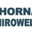 Thornally ChiroWellness in Colorado Springs, CO