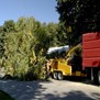 Cut It Right Tree Service in Fresno, CA