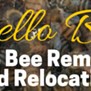 Abello Bees in Scottsdale, AZ
