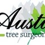 Tree Surgeons of Austin in Austin, TX