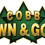 Cobb Pawn & Gold Inc in Marietta, GA