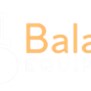 Balanda Equipment Inc in Palm, PA