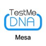 Test Me DNA in Mesa, AZ