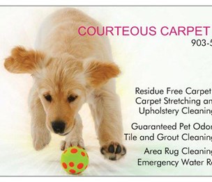 Courteous Carpet Care