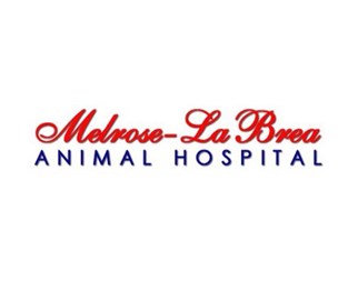 Melrose La Brea Animal Hospital