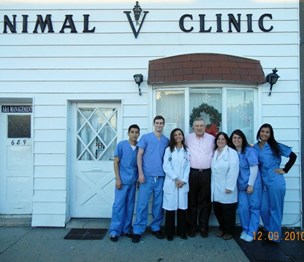 Animal Clinic Of Bay Ridge