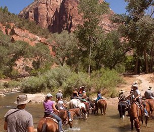 Grand Canyon Donkey Rides