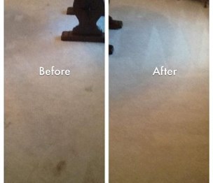 Clean Your Carpets, Inc.