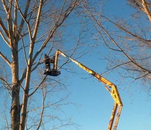 Larned Tree Service