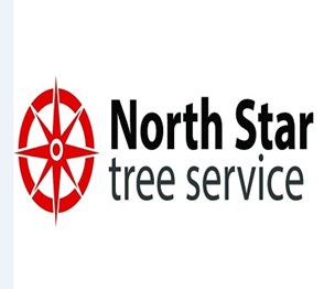 North Star Tree Service