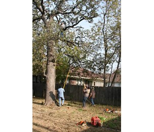 Justin's Tree Service