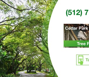 Tree Services Cedar Park