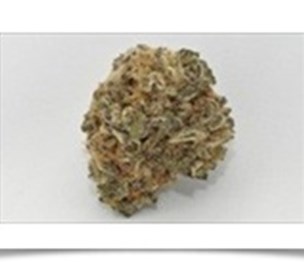 Denver Marijuana Online