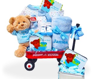 GiftBaskets4Baby.com - from Heart to Heart