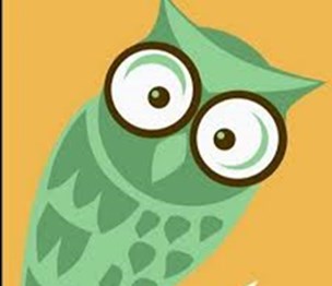 Inquisitive Owl Acupuncture