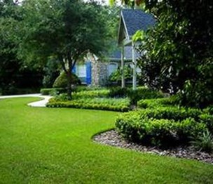 Weston Landscaping Experts