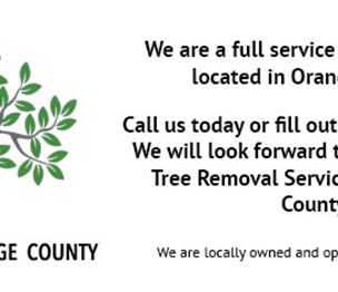 Tree Removal Orange County