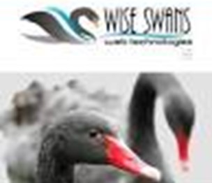 Wise Swans LLC SEO & Web Design