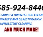 Clean_Your_Carpets_Inc_8.jpg