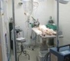 Emergency_Room_Walker_Veterinary_Hospital_Stockton_CA.jpg