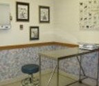 Examination_Room_Walker_Veterinary_Hospital_Stockton_CA.jpg
