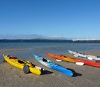 Kayaking_in_San_Diego_CA.jpg