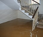 flood_1.jpg